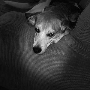 Meet your Posher, Mark